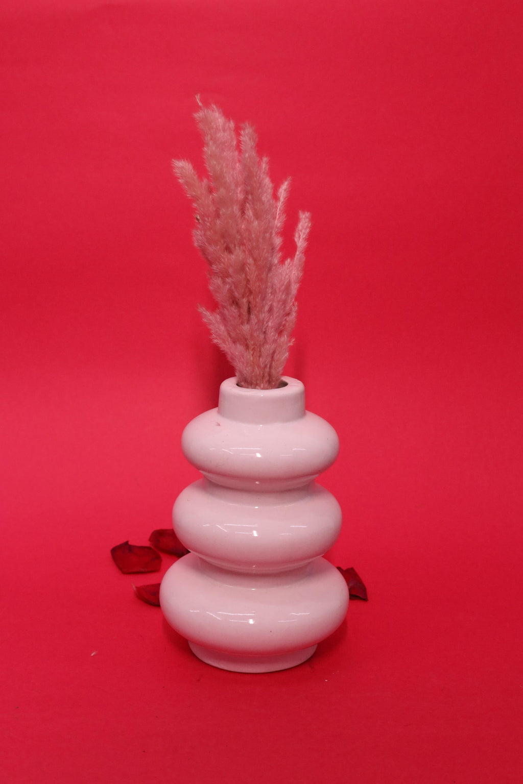 Vase For Flower Plants