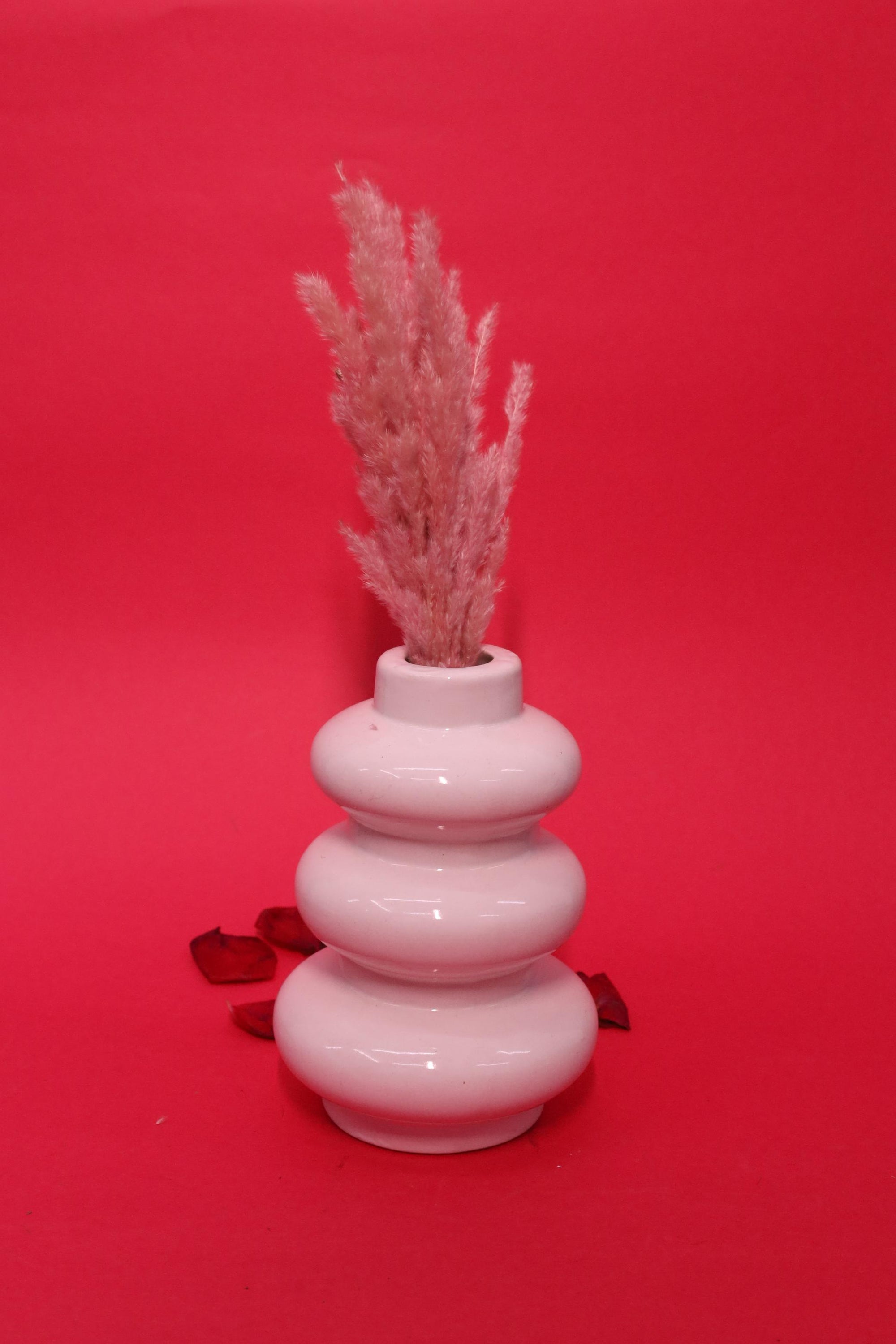 Vase For Flower Plants